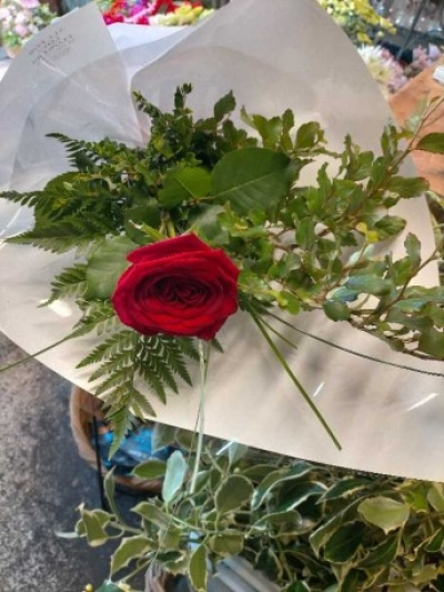 Romantic Love - At All For Love Flowers we are delighted to present this beautiful single red rose available for delivery in Invercargill.