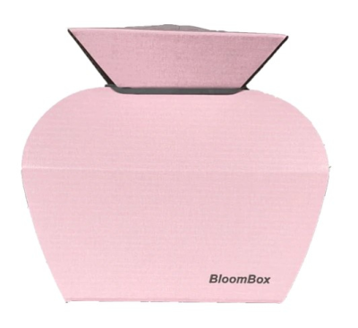 Water Box Pink - Wrapped sustainably to complement your arrangement