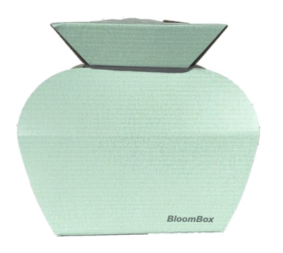 Water Box Mint Green - Wrapped sustainably to complement your arrangement