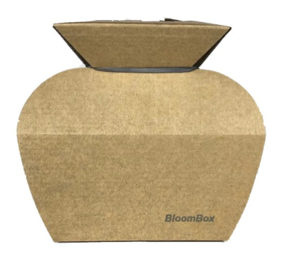 Water Box Kraft Brown - Wrapped sustainably to complement your arrangement