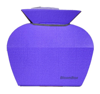 Water Box Purple - Wrapped sustainably to complement your arrangement