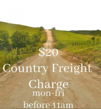 $20 Country Freight - It's best to add this to your out of town orders so the reciepent can still receive a decent amount of flowers.